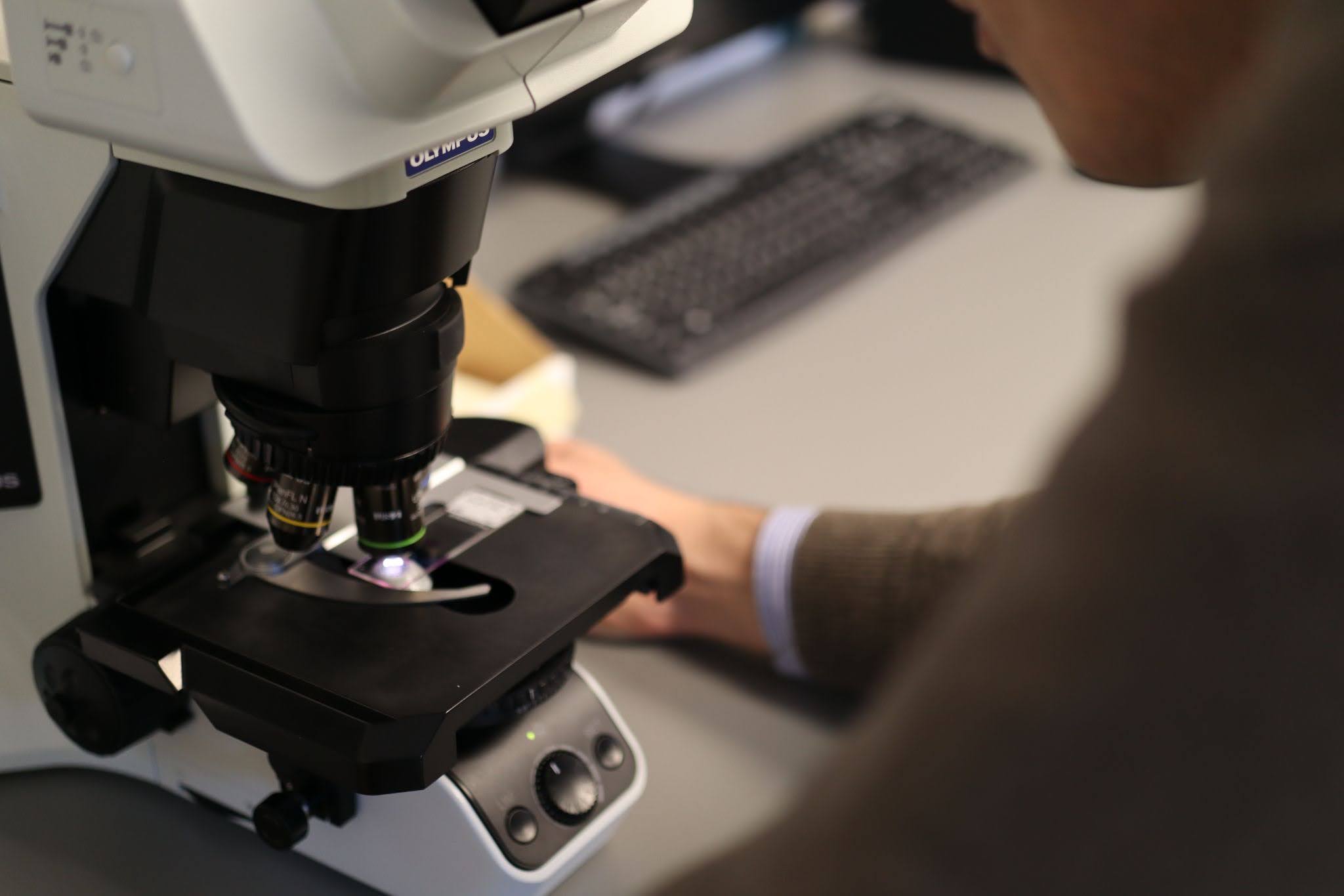 A researcher examining a tissue slide through a microscope